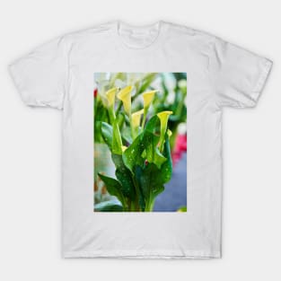 Calla flowers blooming T-Shirt